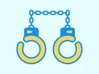 Нижегородке назначено полтора года лишения свободы условно за мошенничество с маткапиталом