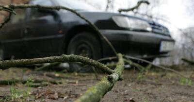 ФОТО: Последствия мощного январского шторма в Латвии