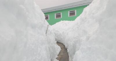 Рекордный снегопад: украинские полярники выкапывают станцию из 3-метровых сугробов (фото)