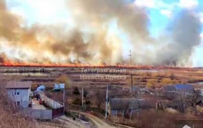 Под Одессой вспыхнул масштабный пожар на территории национального парка