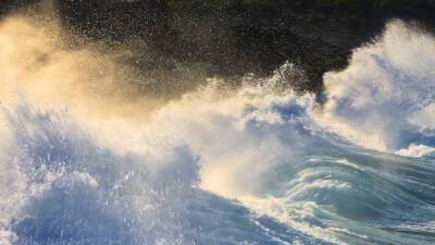 РИА Новости: на Курилах и в Японии объявлена угроза цунами - russian.rt.com - Япония - Новая Зеландия - Французская Полинезия - Фиджи - Тонга - Американское Самоа