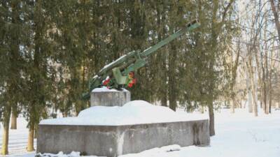 Полиция Латвии заявила о том, что нашла разрушителя советского мемориала в Екабпилсе