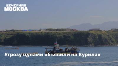 Угрозу цунами объявили на Курилах - vm.ru - Курильск - Тонга