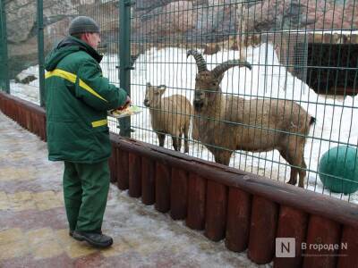 Татьяны смогут со скидкой посетить нижегородский зоопарк 25 января