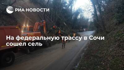 Сель сошел в Сочи на федеральную трассу, обрушив деревья, движение ограничено