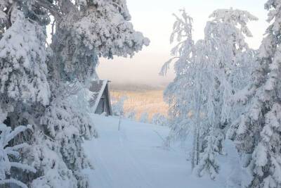 16 января в Смоленской области будет скользко и ветрено