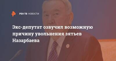 Экс-депутат озвучил возможную причину увольнения зятьев Назарбаева