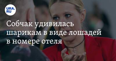 Собчак удивилась шарикам в виде лошадей в номере отеля. «На что они намекают?»