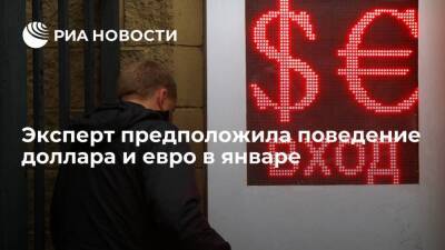 Экономист Комарова спрогнозировала высокую волатильность доллара и евро в январе