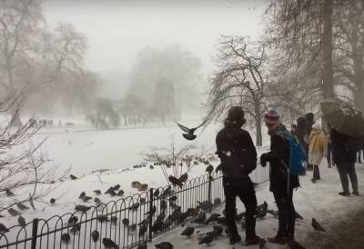 Вслед за мокрым снегом в Украину ворвутся морозы, зима продолжит атаку: какой будет погода