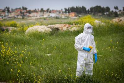 Минздрав опубликовал последнюю информацию о пандемии в Израиле