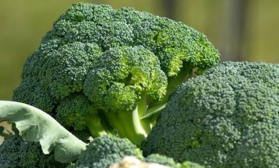 В Китае выяснили, как есть брокколи, чтобы сохранить максимальную пользу овоща