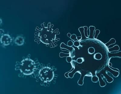 Гинцбург раскрыл особенности применения назальной вакцины от коронавируса «Спутник V»