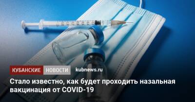 Стало известно, как будет проходить назальная вакцинация от COVID-19