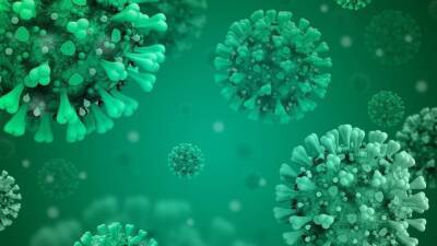 Associated Press: коронавирус может продолжить мутировать после «Омикрона»
