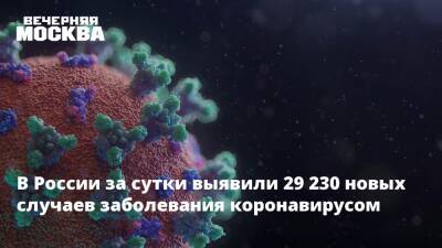 В России за сутки выявили 29 230 новых случаев заболевания коронавирусом