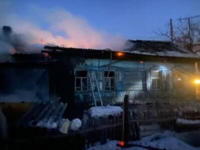 Следком проверит гибель женщины в пожаре в Новосибирской области