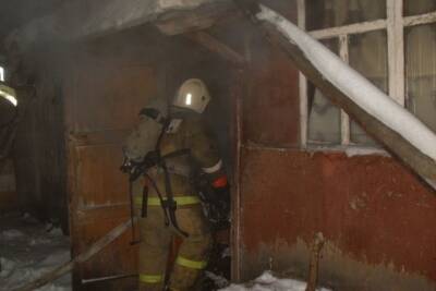 В огне под Новоржевом погибла женщина