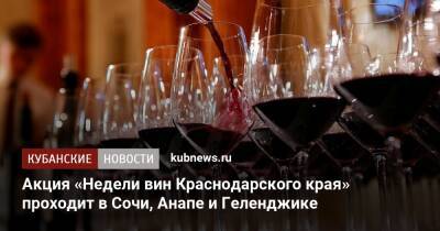 Акция «Недели вин Краснодарского края» проходит в Сочи, Анапе и Геленджике