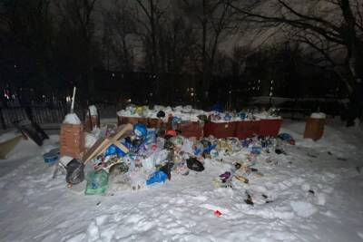 На улице Полетаева в Рязани с январских праздников не вывозят мусор