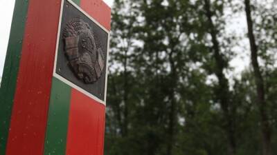 Минск: Литовские пограничники насильно вытеснили в Белоруссию пятерых граждан Сирии