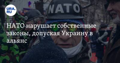 НАТО нарушает собственные законы, допуская Украину в альянс. Заявление политологов