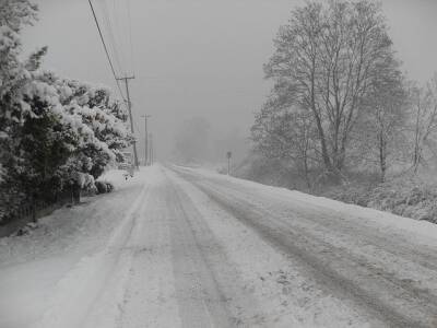 Рязанцев предупредили о метели и морозе до -11 градусов 17 января