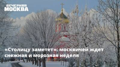«Столицу заметет»: москвичей ждет снежная и морозная неделя