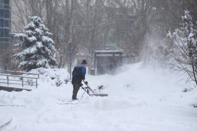 За ночь с дорог Волгограда вывезли около 1,7 тысячи кубометров снега