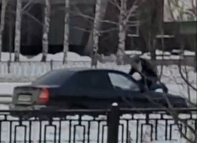 Полиция Нижнего Тагила прокомментировала видео, где по городу едет такси с мужчиной на капоте - Русская семерка