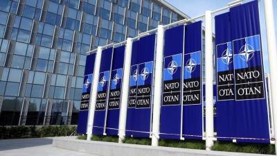 WSJ: в НАТО возникли разногласия из-за односторонних идей США на переговорах с Россией