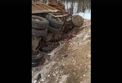 Два грузовика сильно повредились после столкновения на пути в Усть-Лугу