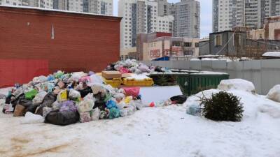 Петербуржцы за утро 16 января направили в Смольный более 60 жалоб на плохую уборку мусора