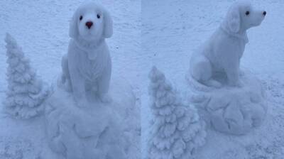 В Воронеже появился снежный двойник Белого Бима