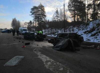В Псковской области произошла автокатастрофа с пятью погибшими