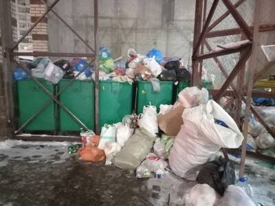 Жители Невского района жалуются на мусорные завалы во дворах