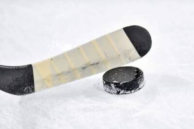 Сборная РФ по хоккею сыграет с латвийцами в товарищеском матче 5 февраля