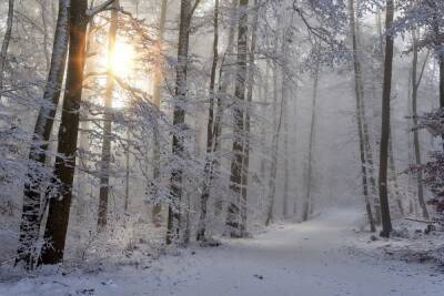 17 января в Смоленске ожидается снегопад