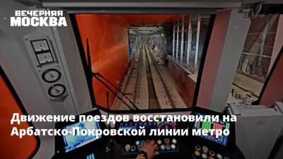 Движение поездов восстановили на Арбатско-Покровской линии метро