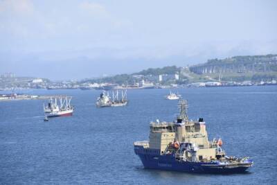 Сухогруз заблокировал движение судов в Босфорском проливе