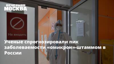 Ученые спрогнозировали пик заболеваемости «омикрон»-штаммом в России