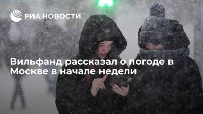 Вильфанд предупредил москвичей о снеге, метели и гололедице в начале недели