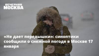 «Не дает передышки»: синоптики сообщили о снежной погоде в Москве 17 января