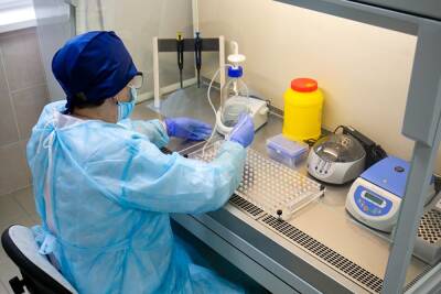 В пригороде Екатеринбурга развернули одну из 11 лабораторий, где определяют омикрон