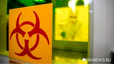 Любой штамм коронавируса в качестве «живой вакцины» остается смертельно опасным