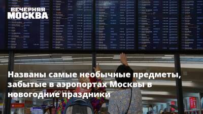 Названы самые необычные предметы, забытые в аэропортах Москвы в новогодние праздники