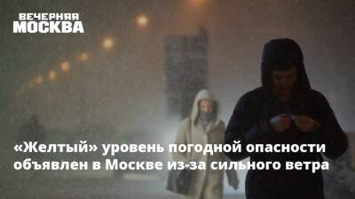 «Желтый» уровень погодной опасности объявлен в Москве из-за сильного ветра