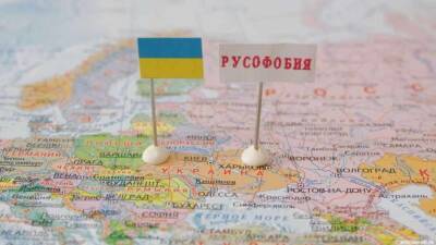 На Украине притесняют русскоязычное население – оппозиция страны