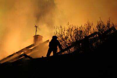 В Димитровграде горел садовый домик. Погиб 54-летний мужчина