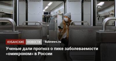 Ученые дали прогноз о пике заболеваемости «омикроном» в России
